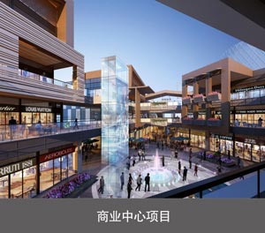 兩柱簡易升降立體車庫商業中心項目
