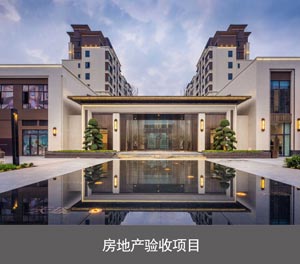 兩柱簡易升降立體車庫房地產驗收項目